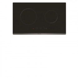2頭嵌入式電磁煮食爐 (BPI6230BL)